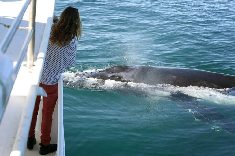 Geographe Maritime Charters