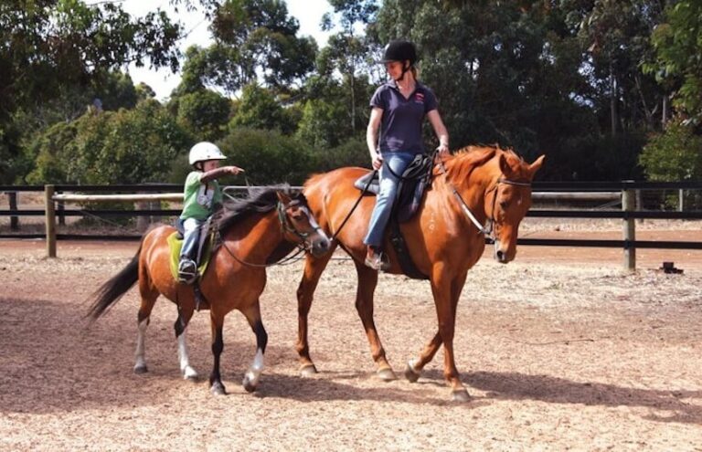 Mirravale Horse Riding