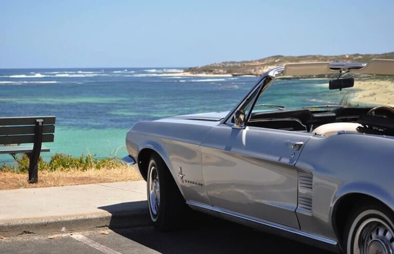 Mustang Tours